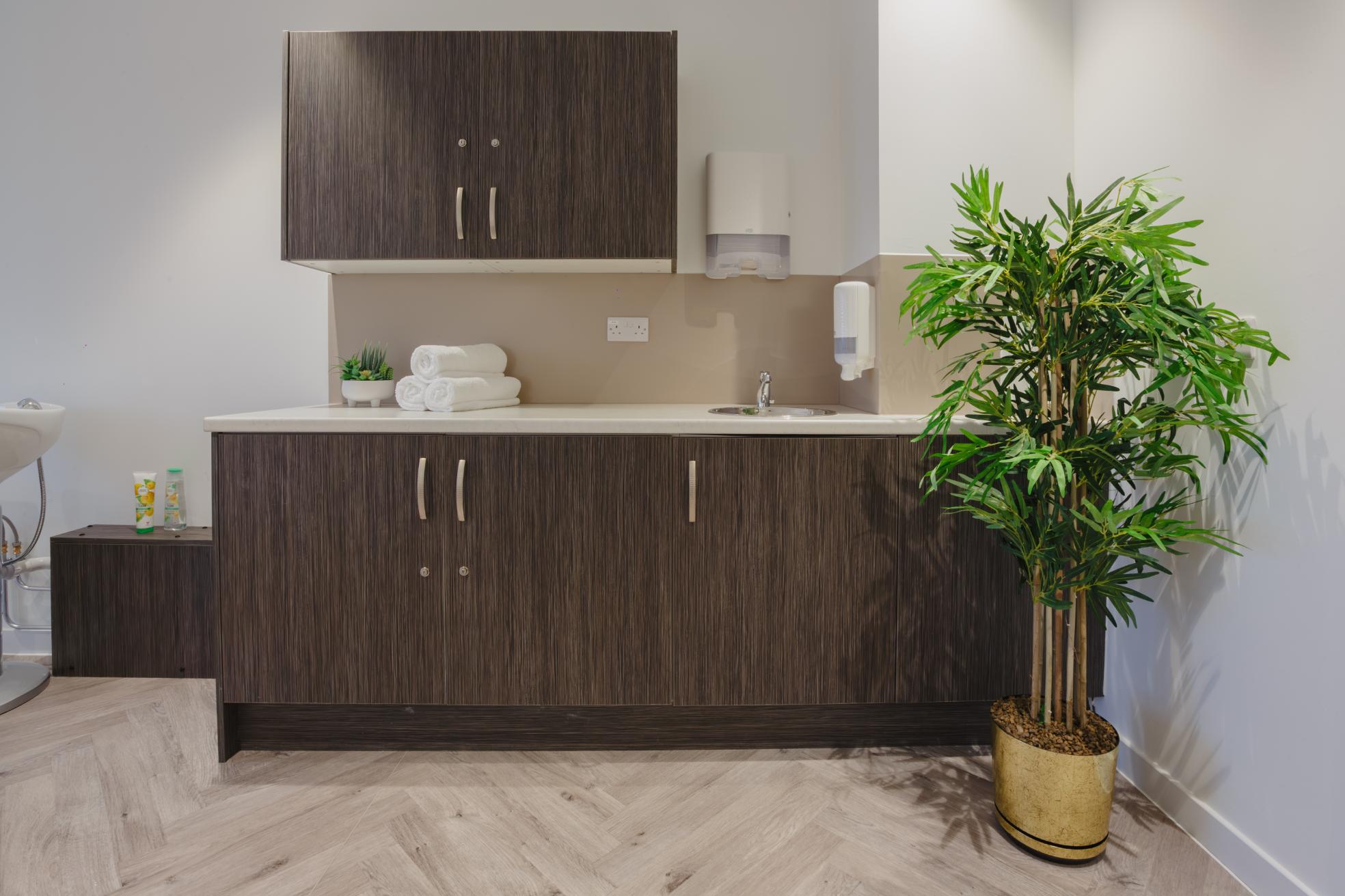 hair salon counter with plant